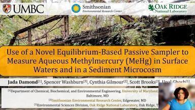 Use of a Novel Equilibrium-Based Passive Sampler to Measure Aqueous MeHg in Surface Waters and in a Sediment